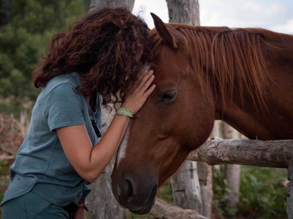 Alpine Academy of Utah reviews the ways in which equine therapy fosters confidence and emotional growth in adolescents.