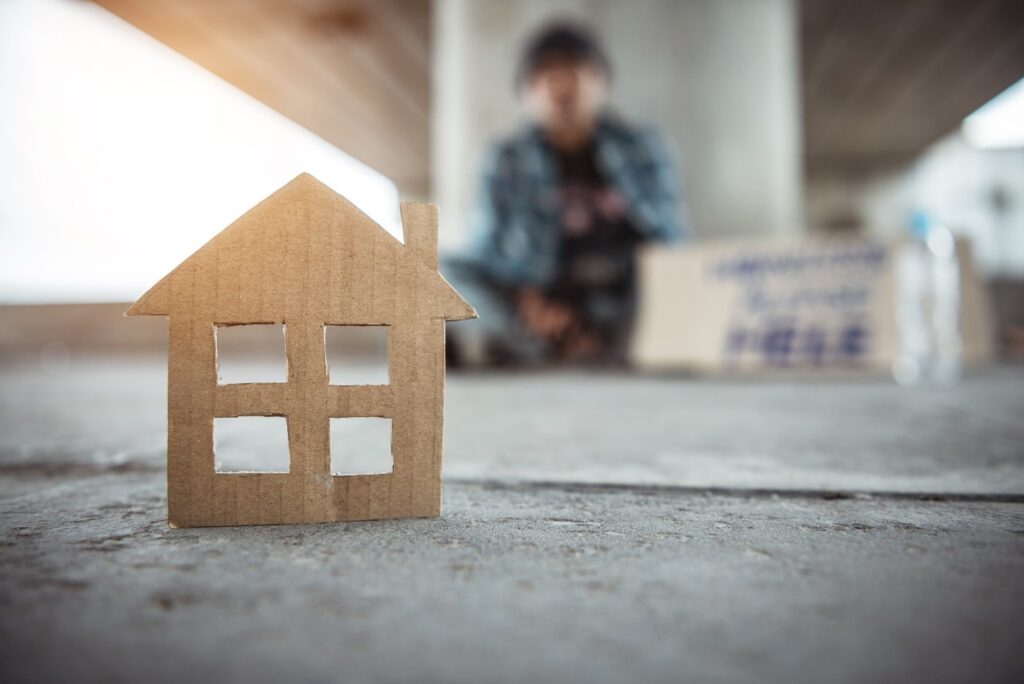 Kathleen Vermillion Homelessness Among Seniors